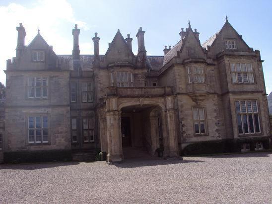 Ryebrook House Bed and Breakfast Killarney Buitenkant foto