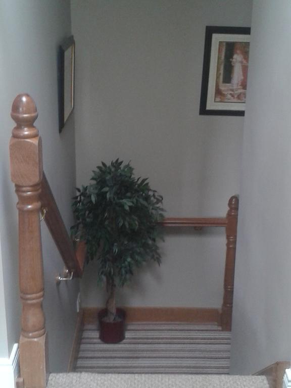 Ryebrook House Bed and Breakfast Killarney Buitenkant foto